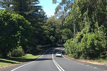 Kincumber NSW 2251, Australia - panoramio (3).jpg