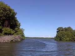 Laguna la Restinga