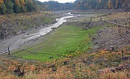 Lake Alwell after dam removal.jpg