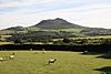 Looking SW to Carn Fadryn from Bronheulog - geograph.org.uk - 269567.jpg