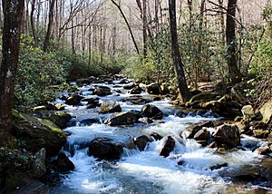 Middle Saluda River