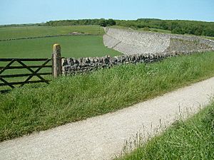 Minninglow - High Peak Trail - geograph.org.uk - 17540