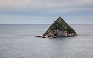 Moturoa Island, New Plymouth.jpg