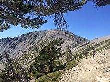 Mt.Baldy Looking NorthWestAtSummit