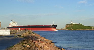 Newcastle - Bulk carrier passing Nobbys.jpg