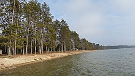 North Higgins Lake State Park.jpg