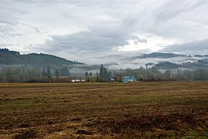 Northern Oregon Coast Range from near Balm Grove