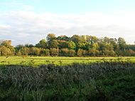 Peters brae stewarton