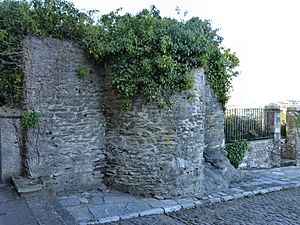 Plymouth Castle