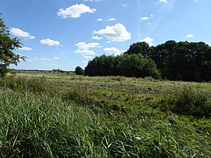 Poplar Farm Meadows, Langley 1.jpg