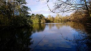 Priory Pools (geograph 6427063)