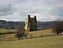 Ravensworth Castle - geograph.org.uk - 1709271.jpg