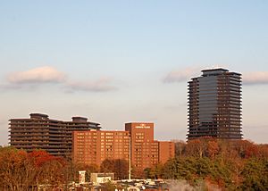 Ravinia, Atlanta