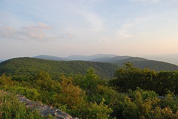 Reddish Knob.jpg