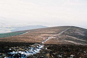 Sugarloaf (West Wicklow)