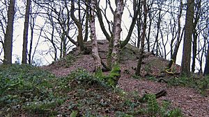 The Mote near Cumbernauld House - geograph.org.uk - 1591361.jpg