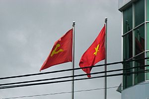 Two Flags Vietnam