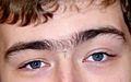 Unibrow-2010-20-07