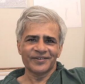 Vivan Sundaram 2012.jpg