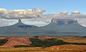 Wadakapiapo Yuruani tepuy 2010.jpg