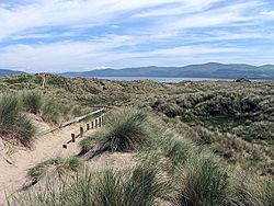 Ynyslas Sand Dunes 1