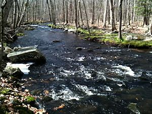 AspetuckValleyTrailRiver3