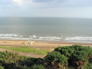 Beach at Highcliffe - geograph.org.uk - 477841.jpg