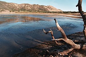 Borax Lake, California