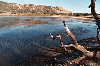 Borax Lake, California.jpg