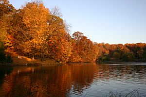 Burdette Park Fishing Lake