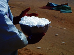 Camel milk