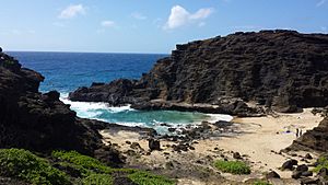 Cockroach Cove, AKA Hālona Cove 03