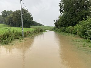 Crue Rivière Menthon Route Platière - Saint-Cyr-sur-Menthon (FR01) - 2021-07-15 - 7