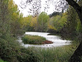 Cuenca del río Manzanares Monte del Pardo 25.jpg