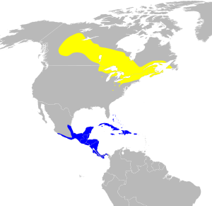 Dendroica magnolia map.svg