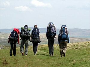 DofE-group