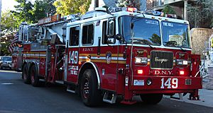 Dyker Heights Ladder 149