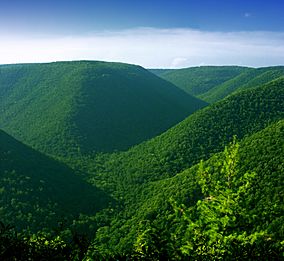 Elk State Forest Humps.jpg