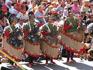 Els Caballets of Olot 2008