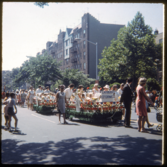 Flatbush Reformed Parade