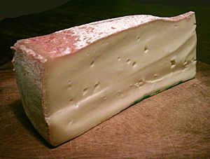 Fontina PDO