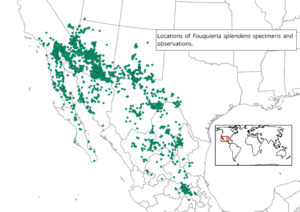 Fouquieria splendens distribution