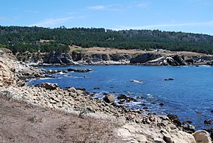 Gerstle Cove Salt Point State Park CA