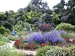 Herb Garden, Spring Blooms, Huntington.jpg