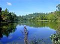 Kodai Lake