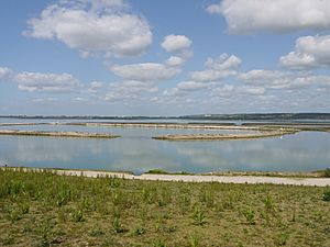 Langstone salt water lagoon