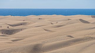 Maspalomas EM1B9180 (25894243208)