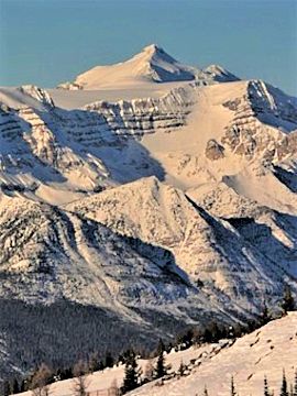 Mt. Balfour from Ski Louise