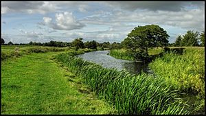 Nenagh River - panoramio