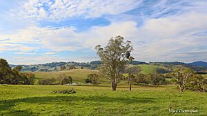 Oberon, NSW